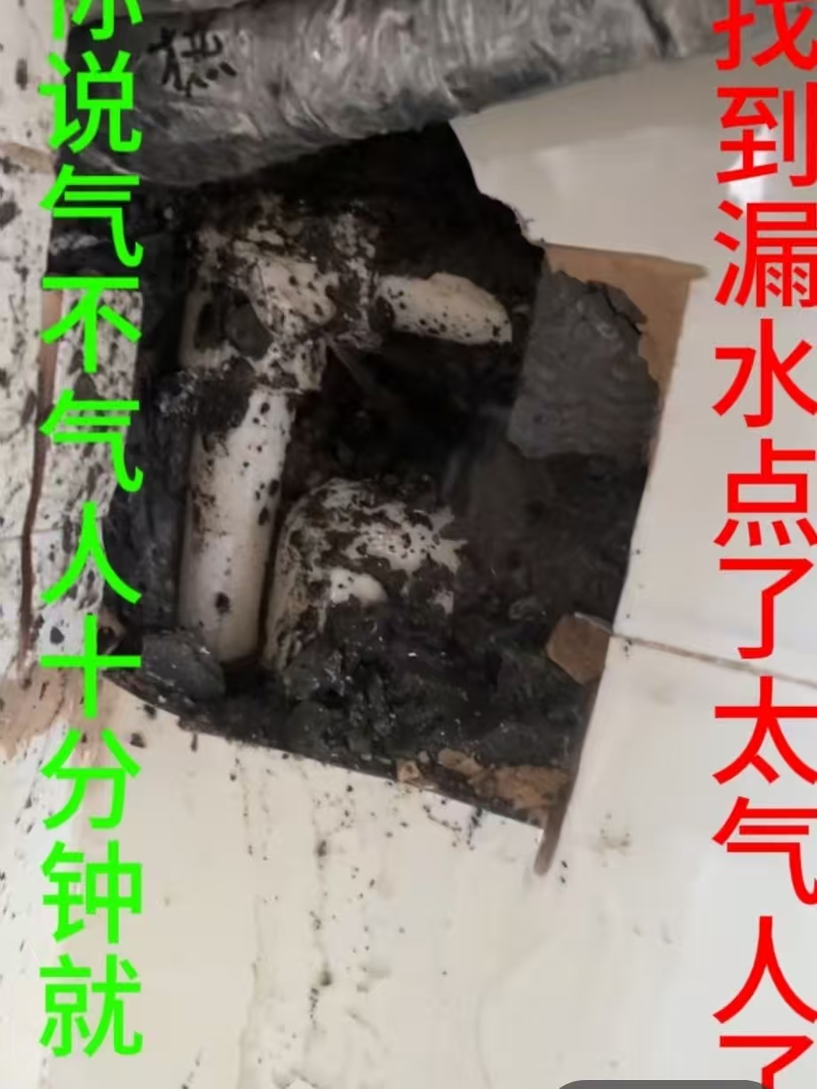 文章插图