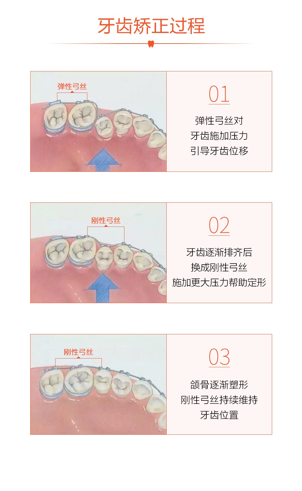 文章插图